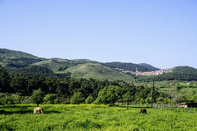 Aldea gallega rodeada de campo verde