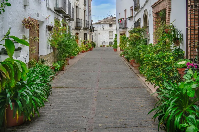 Patio andaluz con macetas de flores